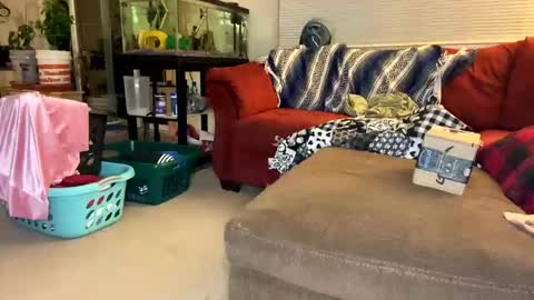 neverwinter44 online show from April 23, 5:19 am