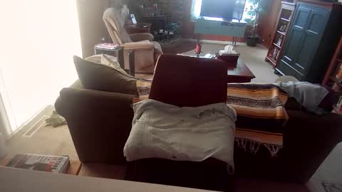 Big BallzBi online show from April 3, 5:33 pm