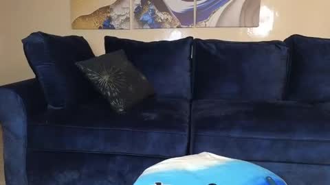 Lilly online show from December 21, 11:33 am