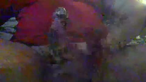 nice_cock8080 online show from January 12, 12:38 am