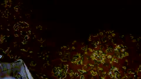 nicholaastavrou19 online show from April 11, 7:45 am