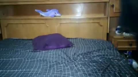 Nicholle online show from July 18, 10:57 pm