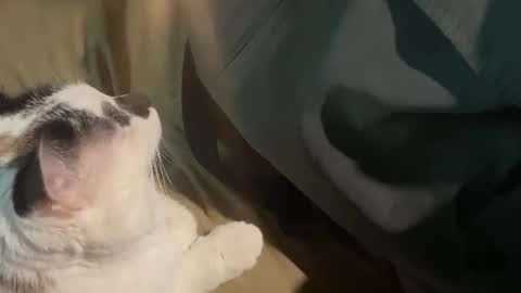 Snapshot of nick_and_bennie chatting on September 19, 2:46 am Nick f and Bennie m online show from September 19, 2:46 am