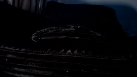 Cakedcouple  OF - Yourtattedcutie  qurlynfit online show from September 21, 6:20 pm