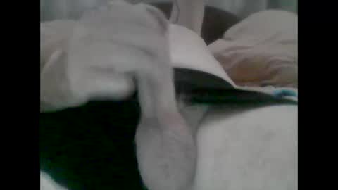 Snapshot of nickthefiddler chatting on October 31, 5:19 am TheCock online show from October 31, 5:19 am