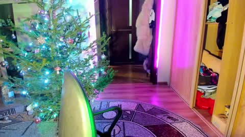 Snapshot of nicky_weekends chatting on January 14, 12:00 am Nicky Weekends online show from January 14, 12:00 am