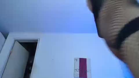 sammy hoot online show from December 29, 2:17 am