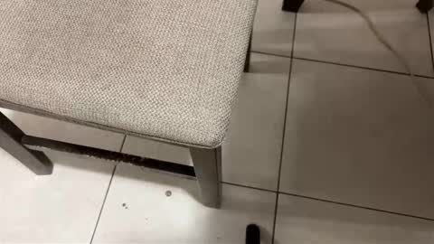 Carlos Nico online show from March 14, 8:31 am