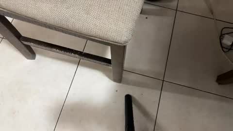 Snapshot of nicocar83pty chatting on February 28, 8:26 am Carlos Nico online show from February 28, 8:26 am