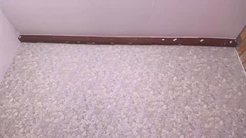 Snapshot of nicol_ferrer chatting on December 27, 7:14 pm Nicol online show from December 27, 7:14 pm