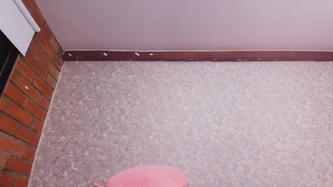 Snapshot of nicol_ferrer chatting on December 31, 1:15 am Nicol online show from December 31, 1:15 am