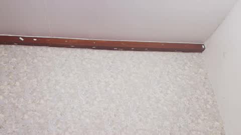 Snapshot of nicol_ferrer chatting on March 3, 7:17 pm Nicol online show from March 3, 7:17 pm