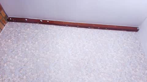 Snapshot of nicol_ferrer chatting on November 21, 3:05 am Nicol online show from November 21, 3:05 am