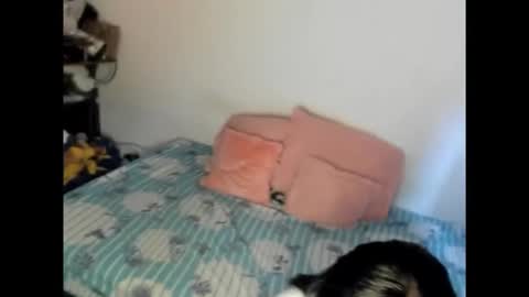 Nicole jaymes online show from February 15, 6:15 pm