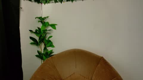 nicoleirisxxx online show from April 15, 5:25 am