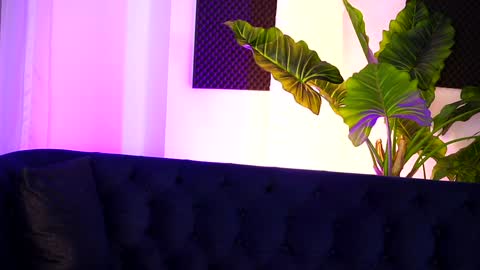 Sarah online show from December 19, 11:35 pm