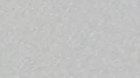 Nicolle online show from April 10, 11:26 am