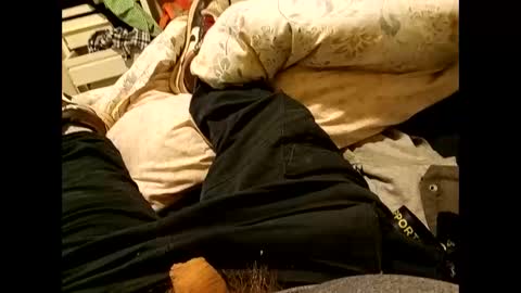 nigel1277 online show from September 10, 8:36 am