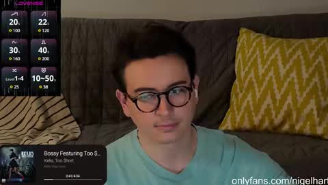 Snapshot of nigelhart chatting on January 2, 2:11 am Nigel Hart online show from January 2, 2:11 am