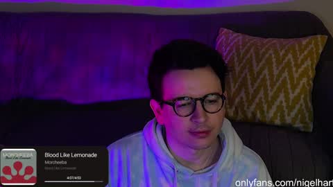 Snapshot of nigelhart chatting on January 4, 2:03 am Nigel Hart online show from January 4, 2:03 am