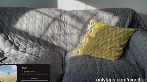 Snapshot of nigelhart chatting on January 17, 3:22 pm Nigel Hart online show from January 17, 3:22 pm