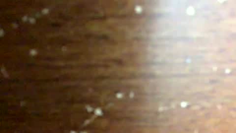 nightmoves1970 online show from February 18, 3:46 am