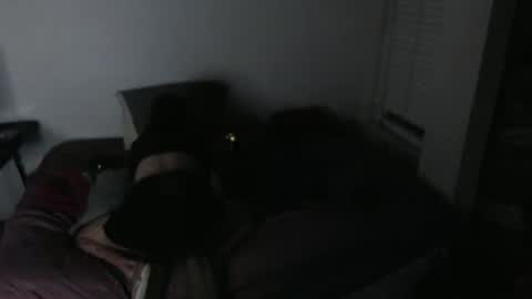 Snapshot of nikkigamer chatting on November 30, 11:47 am nikkigamer online show from November 30, 11:47 am