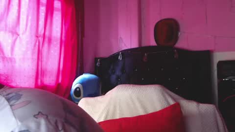 Snapshot of nikkirous_ chatting on May 29, 12:47 pm Nikkirous online show from May 29, 12:47 pm