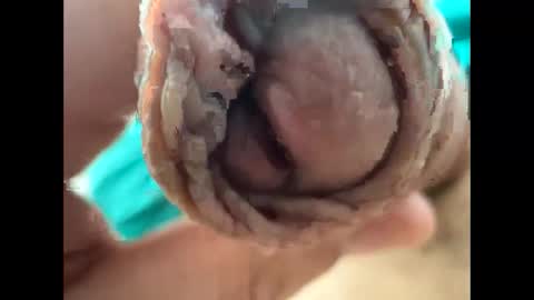 Nikolay online show from April 22, 9:22 am