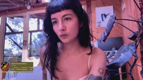 Snapshot of nina_just chatting on May 11, 7:44 pm Nina. online show from May 11, 7:44 pm