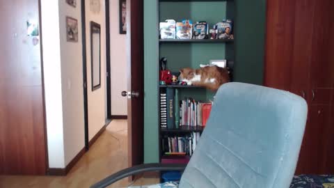 Snapshot of nina_moonbeam chatting on December 3, 8:07 pm Nina Moon online show from December 3, 8:07 pm