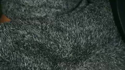 nineinchhard online show from December 16, 9:25 am