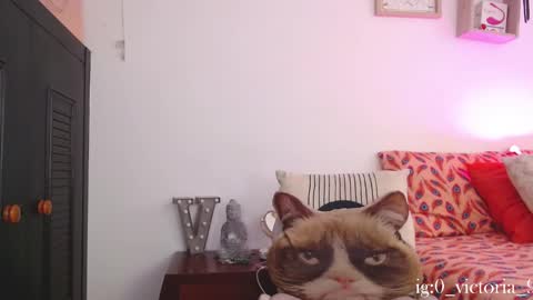 Snapshot of ninnarousse chatting on October 22, 7:46 pm Ninna Rousse online show from October 22, 7:46 pm