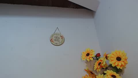 Snapshot of noah_miller7 chatting on January 8, 10:15 am Noah Millers online show from January 8, 10:15 am