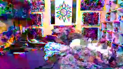 Snapshot of nodak808 chatting on December 19, 2:24 pm Jonny Coxman online show from December 19, 2:24 pm