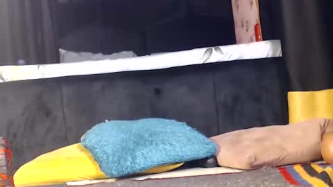 Snapshot of noircandy chatting on December 16, 10:03 pm Noir Thats My Name Call Me Bablicious online show from December 16, 10:03 pm