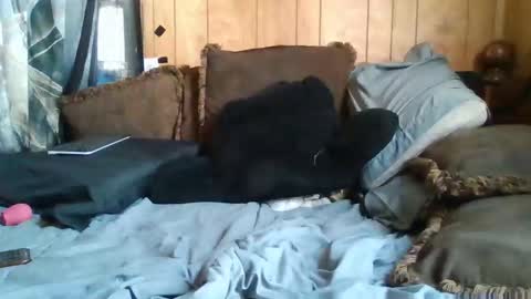 Noliana online show from November 24, 5:12 pm