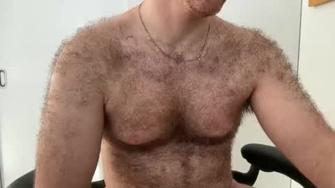 No Plan online show from February 1, 1:53 pm