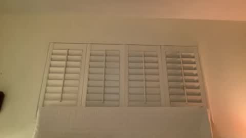 Snapshot of noscandal chatting on November 14, 5:06 am noscandal online show from November 14, 5:06 am