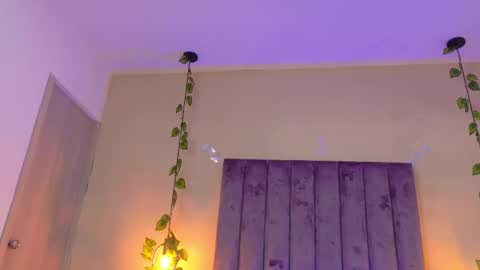 novaaa shayy online show from February 13, 9:00 pm