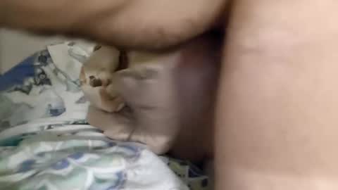 Snapshot of noxx800 chatting on November 22, 4:22 am Lol online show from November 22, 4:22 am