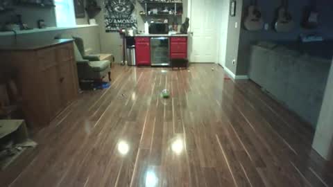 Nudistguy online show from March 15, 10:05 pm