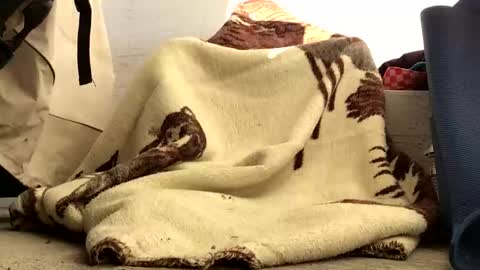 Snapshot of nuevotiempo chatting on February 23, 12:57 pm nuevotiempo online show from February 23, 12:57 pm