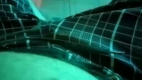 NuttyProfesir online show from April 4, 1:19 pm