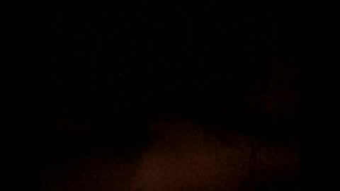 Snapshot of nxleon chatting on December 9, 11:36 am nxleon online show from December 9, 11:36 am