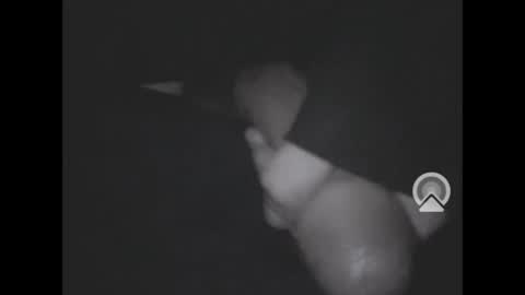 nympham online show from April 4, 7:06 am