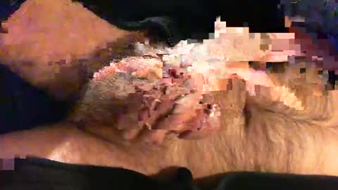 o269x2 online show from November 9, 10:46 am