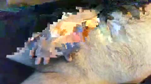 o269x2 online show from May 30, 10:12 am