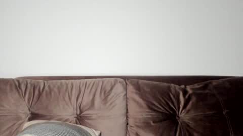 o_r_b_i_t online show from January 31, 4:06 pm