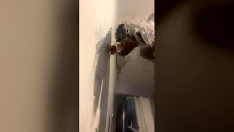 Snapshot of octavia_cd chatting on December 14, 9:03 am Kira online show from December 14, 9:03 am